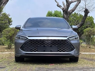 2024 BYD Qin PLUS Glory Edition DM-i 55KM Leading, фото 3, лот 11097939