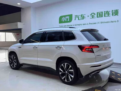 2023 Škoda Karoq TSI280 Luxury Edition, фото 3, лот 10348830