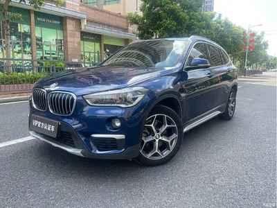 2019 BMW X1 sDrive18Li Premium Model, фото 1, лот 10398624