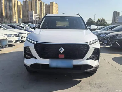 2020 Baojun RS-3 Model 1.5L Manual 24-hour Online Elite, фото 3, лот 10409581