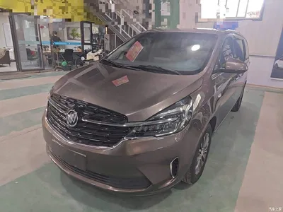 2021 Buick GL8 Land Business Class 652T Luxury, фото 1, лот 10262093