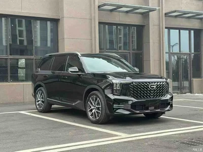 2025 GAC Trumpchi Trumpchi GS8 Pilot Series 2.0TGDI 2WD Luxury Edition 5-seater, фото 3, лот 10828089