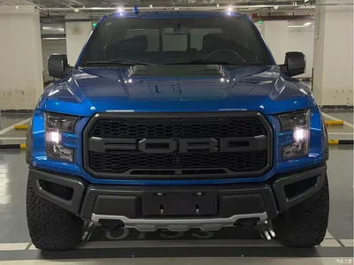 2019 Ford F-150 Raptor 3.5T Raptor Performance Enhanced Edition, фото 2, лот 10277833