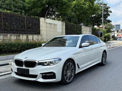 2018 BMW 5 Series Facelift 530Li Leading M Sport Package, фото 1, лот 11224181