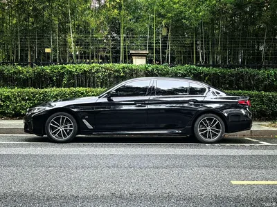 2021 BMW 5 Series New Energy Facelift 535Le Pioneer M Sport Package, фото 3, лот 10474135