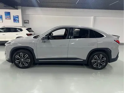 2020 NIO EC6 475KM Signature Edition, фото 3, лот 10364995