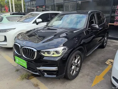 2019 BMW X3 xDrive28i Luxury Package, фото 1, лот 10448555