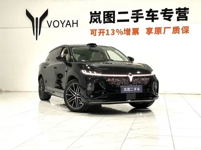 2025 Voyah Auto Voyah Zhiyin Base, фото 3, лот 11169796