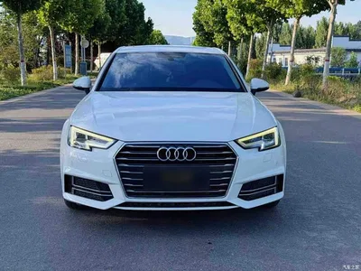 2019 Audi A4L 40 TFSI Progressive (China VI), фото 3, лот 11134752