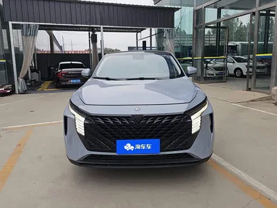 2023 Venucia Big V 260T Idol Edition Pro, фото 2, лот 11144574