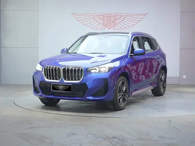 2024 BMW X1 sDrive25Li M Sport Package, фото 1, лот 10238965