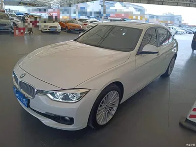 2018 BMW 3 Series 320Li Fashion Style, фото 2, лот 10458037