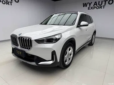 2023 BMW X1 sDrive20Li X Design Package, фото 1, лот 10466869