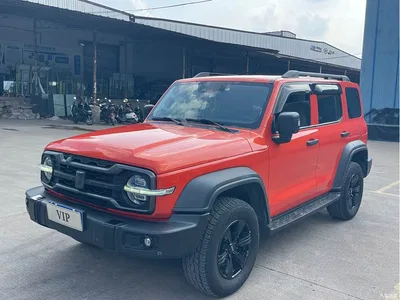 2021 Tank 300 Off-road Version 2.0T Conqueror, фото 1, лот 10344863