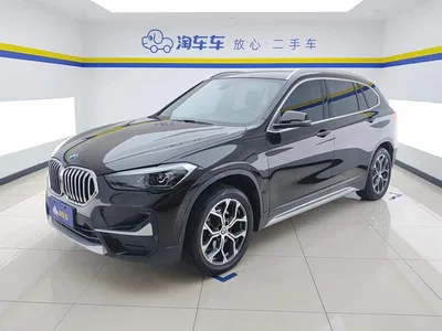 2020 BMW X1 sDrive20Li Premium Edition, фото 1, лот 11200553