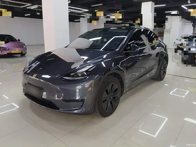2024 Tesla Model Y Rear-Wheel Drive Version, фото 2, лот 10370180