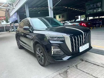 2023 Hongqi HS5 2.0T Flag Enjoy Pro Edition, фото 3, лот 10516317
