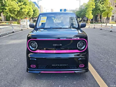 2025 Geely Galaxy Panda Model Year 210km Panda Kart, фото 2, лот 11183263