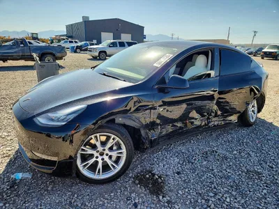2020 TESLA MODEL Y, фото 1, лот 10676926