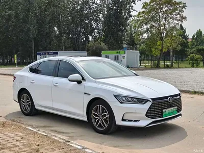 2018 BYD Qin Pro New Energy EV500 Smart Connected Leader Glory, фото 3, лот 10957809