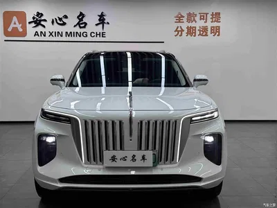 2022 Hongqi E-HS9 690km Qi Xiang Edition (6-seater), фото 2, лот 10286805