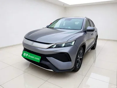 2025 BYD Song Pro New Energy 2nd Gen DM-i 115KM Surpassing Type, фото 1, лот 11103250
