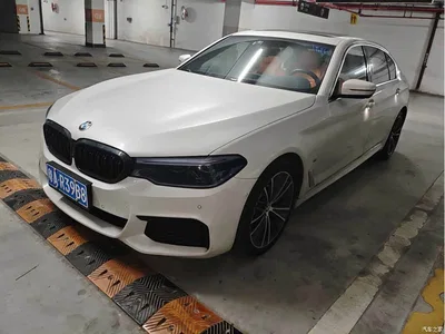 2020 BMW 5 Series 530Li Exclusive M Sport Package, фото 1, лот 11537947