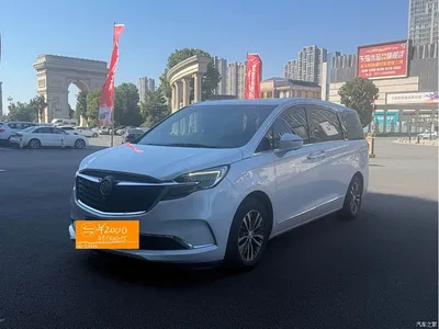 2020 Buick GL8 Model ES Landglory 653T Comfort, фото 1, лот 11565627