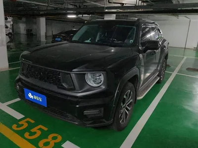 2023 Haval Da Gou 2nd Gen 2.0T AWD Wild Adventure Plus, фото 1, лот 10300306