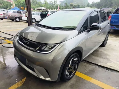 2021 BYD Dolphin Model 405km Fashion Edition, фото 2, лот 11073762