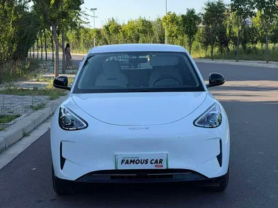 2025 Geely Galaxy Starry Wish 310km Youth Edition, фото 2, лот 10836624