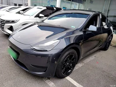 2024 Tesla Model Y Rear-Wheel Drive Version, фото 2, лот 10667462