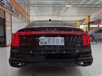 2024 Hongqi H9 2.0T Qi Enjoy Private Fashion Edition, фото 4, лот 10288166