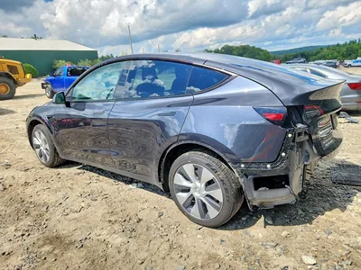 2024 TESLA MODEL Y, фото 2, лот 10714487