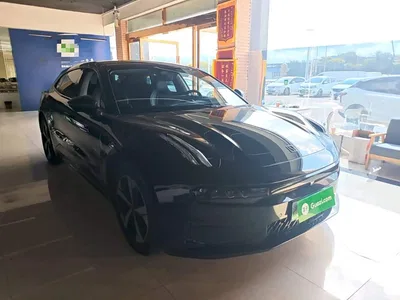 2022 ZEEKR 001 Long Range Dual Motor WE Edition, фото 4, лот 10808199