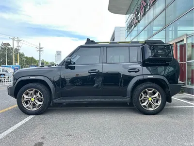 2023 Jetour Traveler 2.0T 4WD Conquest PRO, фото 4, лот 10430167