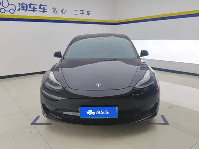 2021 Tesla Model 3 Standard Range Rear-Wheel Drive Upgrade 3D6, фото 2, лот 11017121