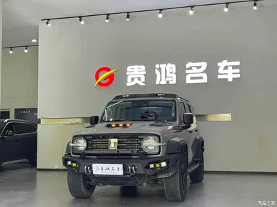 2021 Tank 300 Off-road Edition 2.0T Challenger, фото 3, лот 10344842