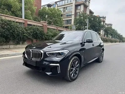 2022 BMW X5 xDrive 30Li M Sport Package, фото 1, лот 11199724