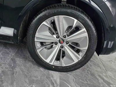 2022 Hongqi E-HS9 690km Qi Xiang Edition (6-seater), фото 4, лот 10286878