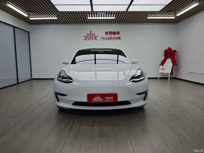 2019 Tesla Model 3 (Import) Long Range RWD Version, фото 3, лот 10452275