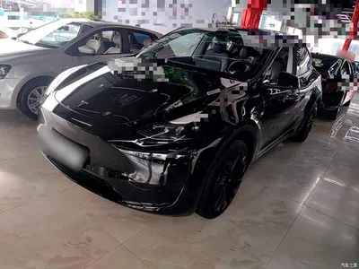 2023 Tesla Model Y Rear-Wheel Drive Edition, фото 2, лот 10369662