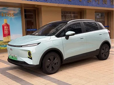 2022 Geely E Firefly 401KM Thunder Tiger 4-Seater, фото 1, лот 11409255
