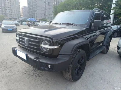 2021 Tank 300 Off-road Edition 2.0T Challenger, фото 1, лот 10345057