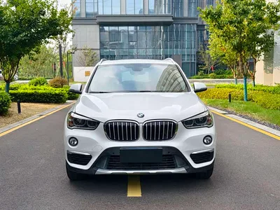 2019 BMW X1 xDrive20Li Premium Model, фото 2, лот 11184214