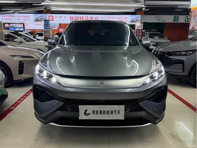 2025 BYD Song Pro New Energy 2nd Generation Smart Drive Edition DM-i 115KM Surpassing Type, фото 2, лот 11249446