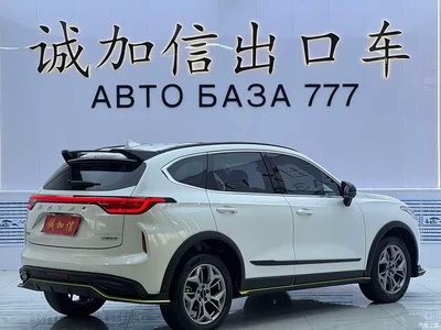 2022 Haval Chitu Power Edition 1.5T Purple Copper Rabbit, фото 4, лот 11566268