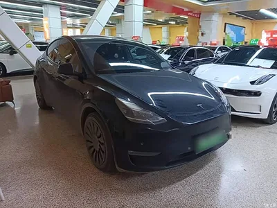 2021 Tesla Model Y Standard Range Rear-Wheel Drive, фото 4, лот 10461408