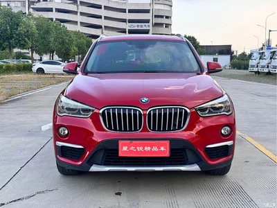 2019 BMW X1 sDrive18Li Premium Model, фото 2, лот 10465991
