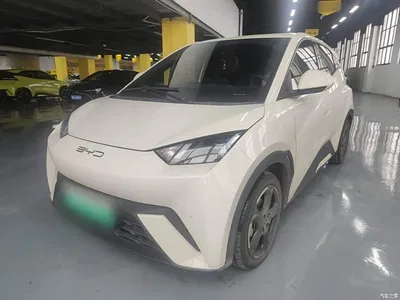 2023 BYD Seagull Freedom Edition, фото 1, лот 11201520